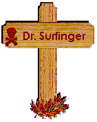 Der surfende Doktor!